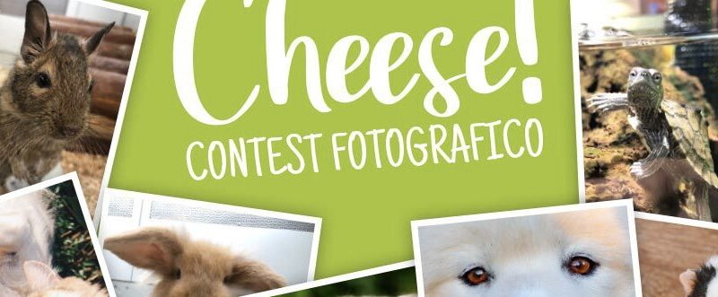 Concorso fotografico                            “12 mesi con i nostri amici animali”