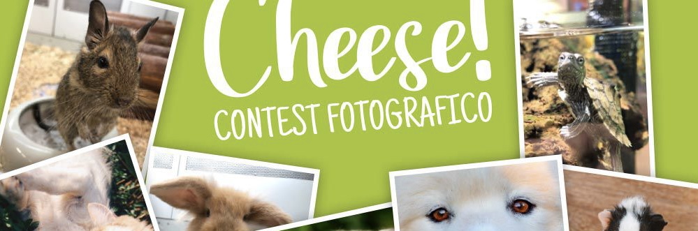 Concorso fotografico                            “12 mesi con i nostri amici animali”