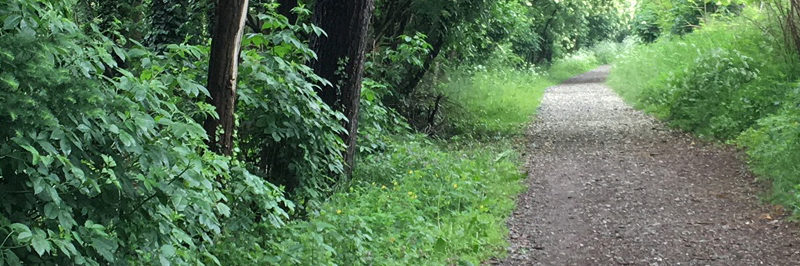 A piedi nudi nel parco (con un po’ di attenzione)