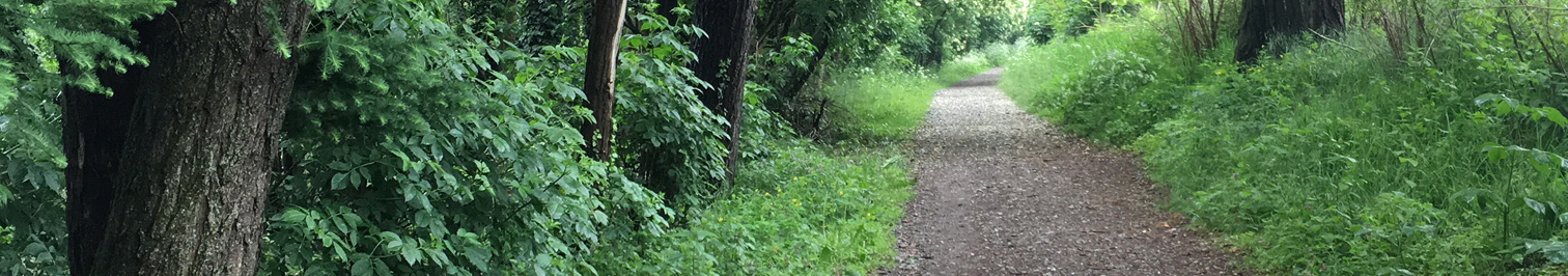 A piedi nudi nel parco (con un po’ di attenzione)